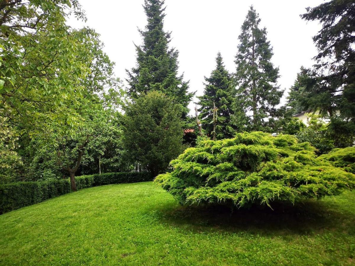 Casa Carla, Immersa Nel Verde Dei Colli Bolognesi Sasso Marconi Dış mekan fotoğraf